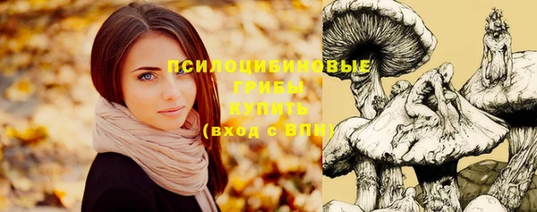 Альфа ПВП Балахна
