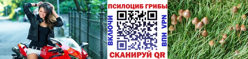 OMG сайт Пестово Галлюциногенные грибы MAGIC MUSHROOMS